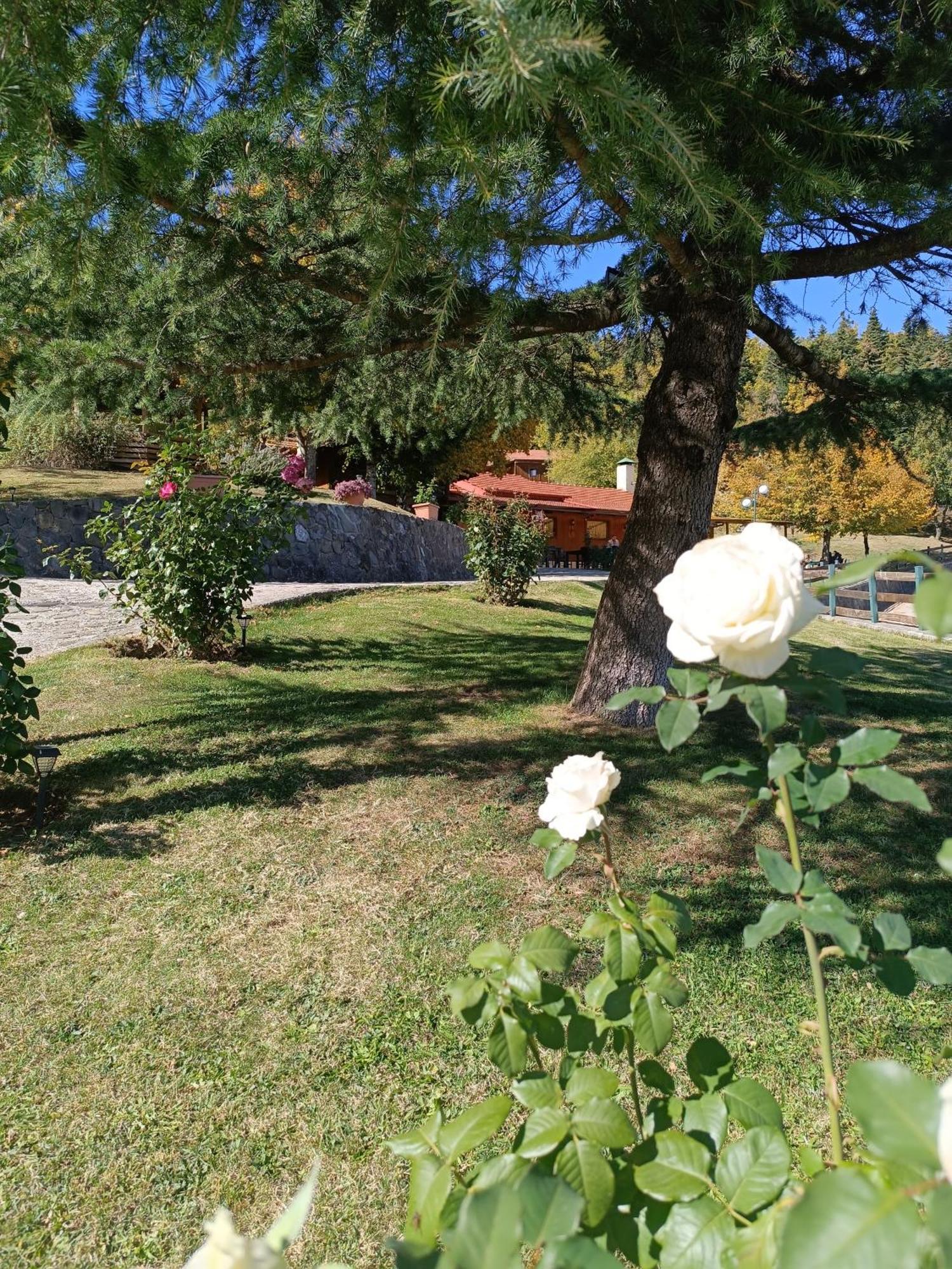 Livadaki Village Megali Kapsi Buitenkant foto