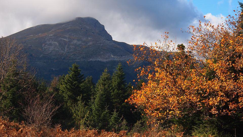 Livadaki Village Megali Kapsi Buitenkant foto