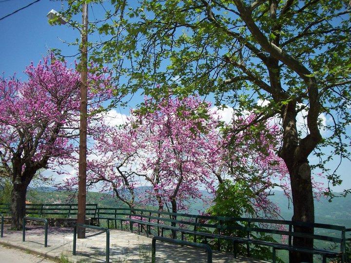 Livadaki Village Megali Kapsi Buitenkant foto