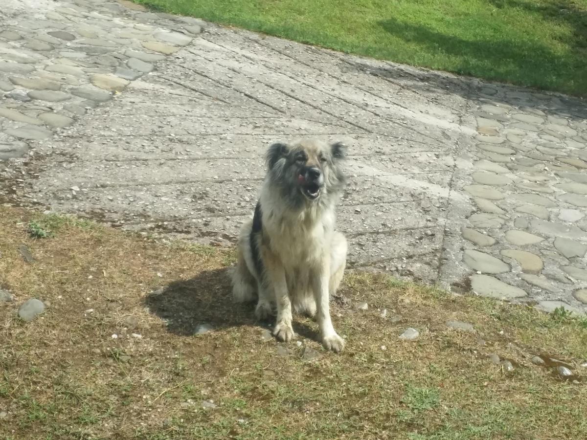 Livadaki Village Megali Kapsi Buitenkant foto